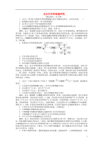 2016届高三生物二轮复习专题二第2讲光合作用和细胞呼吸强化训练