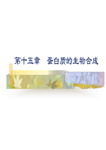 第十五章蛋白质的生物合成