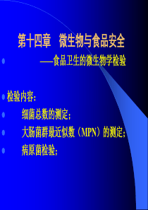 第十四章 微生物与食品安全-食品卫生的微生物学检验