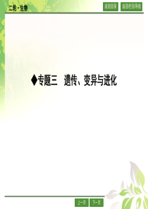 2016届高考生物二轮专题配套ppt课件36遗传的分子基础