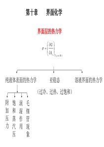 第十章界面化学-欢迎莅临烟台大学化学生物理工学院