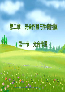 第四讲：光合作用与生物固氮