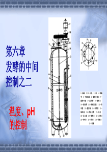 简明微生物工程 61发酵的中间控制-温度、pH