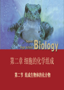 细胞中的生物大分子讲义