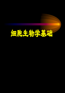 曙光汽车有限公司年产6万辆整车项目简本