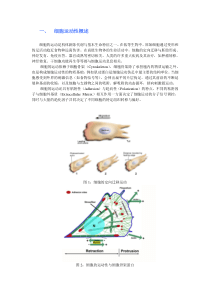 细胞生物学实验教程：细胞运动性检测实验详细介绍