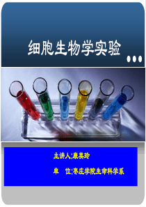 细胞生物学实验课件ppt-PowerPointPres