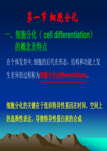 细胞生物学第十四章