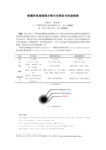 细菌的免疫磁珠分离与生物发光快速检测