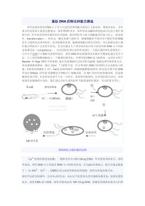 细菌转化与平板筛选doc-西南大学·农学与生物科技学院欢