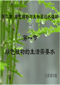 绿色植物与生物圈的水循环