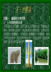 缤纷的生物世界