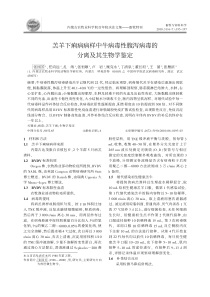 羔羊下痢病病样中牛病毒性腹泻病毒的分离及其生物学鉴定