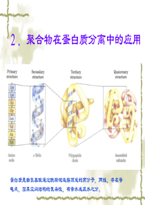 聚合物在生物高分子分离中的应用