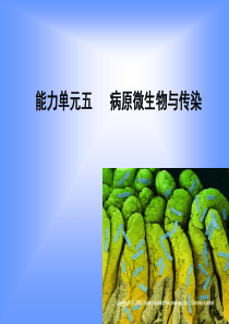 能力单元五一病原微生物与传染-PowerPointPr