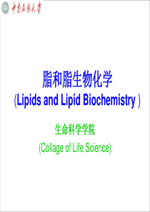 脂和脂生物化学(LipidsandLipidBioch