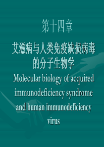 艾滋病与人类免疫缺损病毒的分子生物学