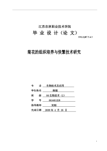 菊花的组织培养与快繁技术研究生物技术及应用