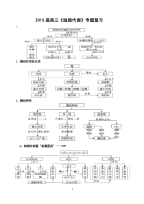 2015届高三《细胞代谢》专题复习(缪运良)