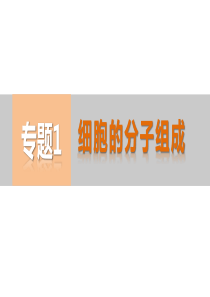 2015届高考生物(江苏专用,理科)知识专题强化练专题1细胞的分子组成