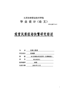 观赏凤梨组培快繁研究综述生物技术及应用