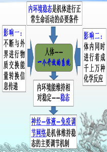 课件 生物 神经系统