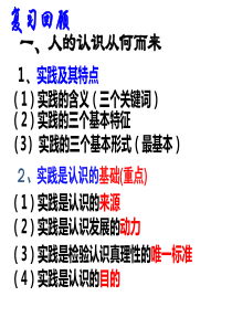 2015年62在实践中追求和发展真理ppt