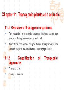 转基因生物405918384