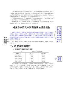 20130606001市场调查报告(案例分析)