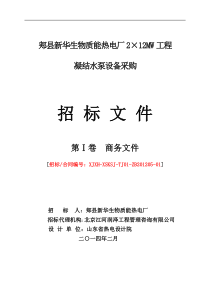 郏县新华生物质能热电厂2x12MW工程采购商务文件(凝结水