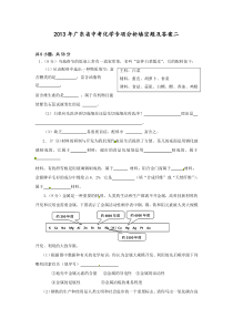 2013年广东省中考化学专项分析填空题及答案二