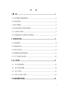 锅炉掺烧生物质燃料改造工程可行性研究