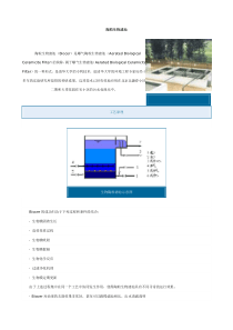 陶粒生物滤池(doc9)(1)