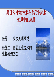 项目六 生物技术在食品工业废水处理中得应用概述