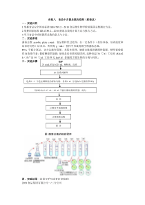 食品微生物课程实习