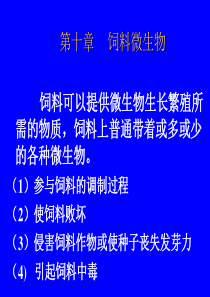 饲料可以提供微生物生长繁殖所需的物质