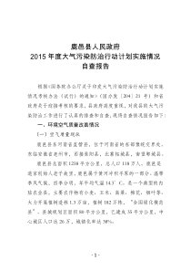 2015年度大气自查报告2