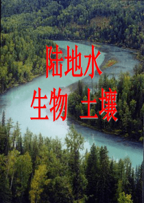 高中地理课件陆地水生物土壤