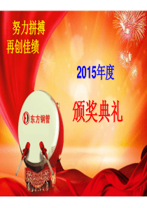 2015年总结2016年策划.