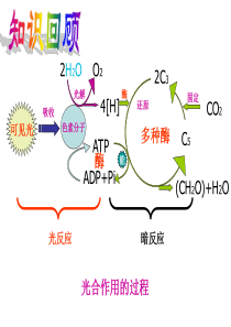 高中生物1-61 细胞的增殖课件人教版必修一