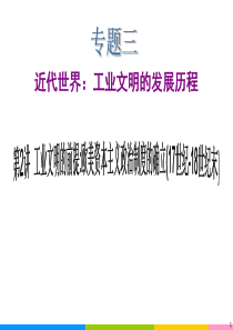 2013年高考历史二轮复习课件工业文明的前提欧美资本主义政治制度的确立(17世纪-18世纪末)