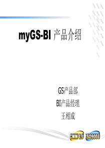 myGS-BI产品介绍(2)