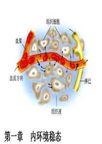 高中生物必修三知识点复习