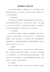 青年教师个人成长总结