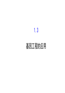 2015年高中生物选修三课件13基因工程的应用