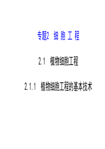 2015年高中生物选修三课件211植物细胞工程的基本技术