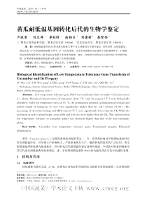 黄瓜耐低温基因转化后代的生物学鉴定