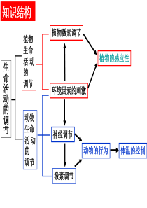 八年级科学第三章总复习