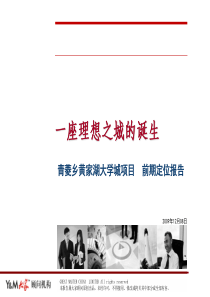 武汉青菱乡黄家湖大学城项目前期定位报告