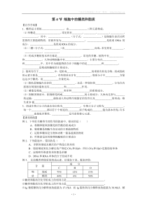 2012年生物同步学案2.4《细胞中的糖类和脂质》(新人教版必修1)